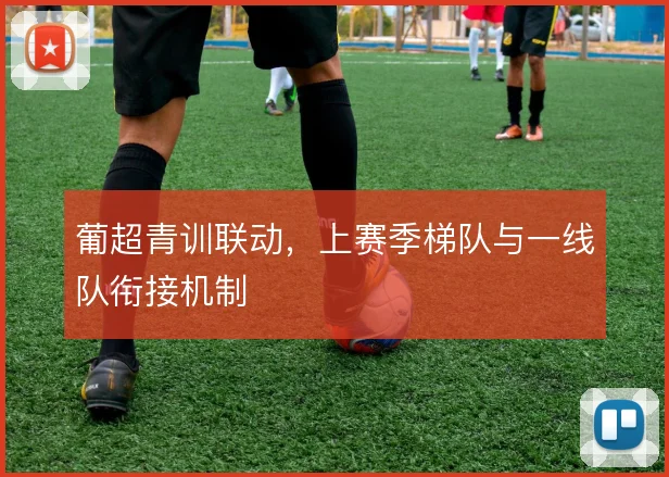 葡超青训联动,上赛季梯队与一线队衔接机制