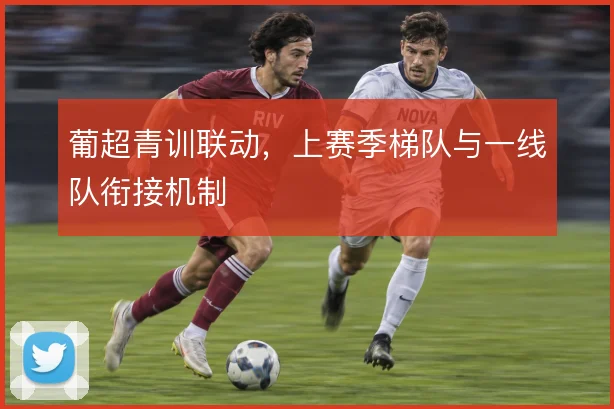 葡超青训联动，上赛季梯队与一线队衔接机制