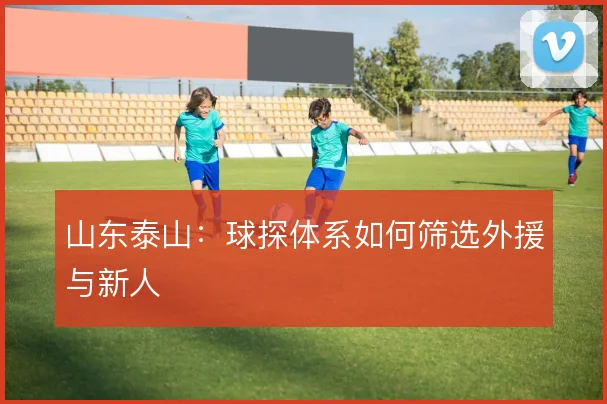 山东泰山：球探体系如何筛选外援与新人